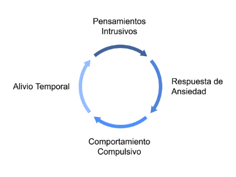 El ciclo del TOC